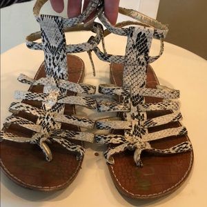 Sam Edelman Gladiator Sandal (Snakeskin Print)